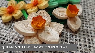 Quilling LILY Flower Tutorial | DIY Paper LILY Flower Tutorial
