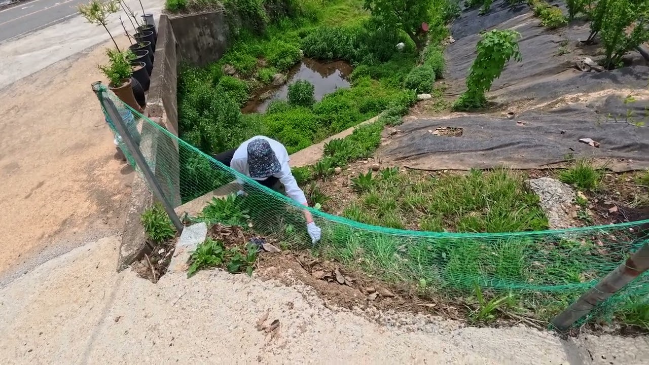 농막의 하루 예고편