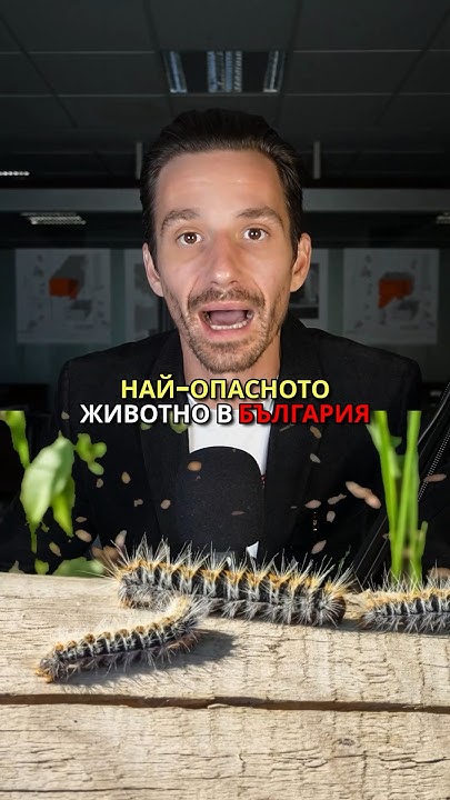 НАЙ-ОПАСНОТО ЖИВОТНО в България 🇧🇬 The #most #dangerous #animal in ...