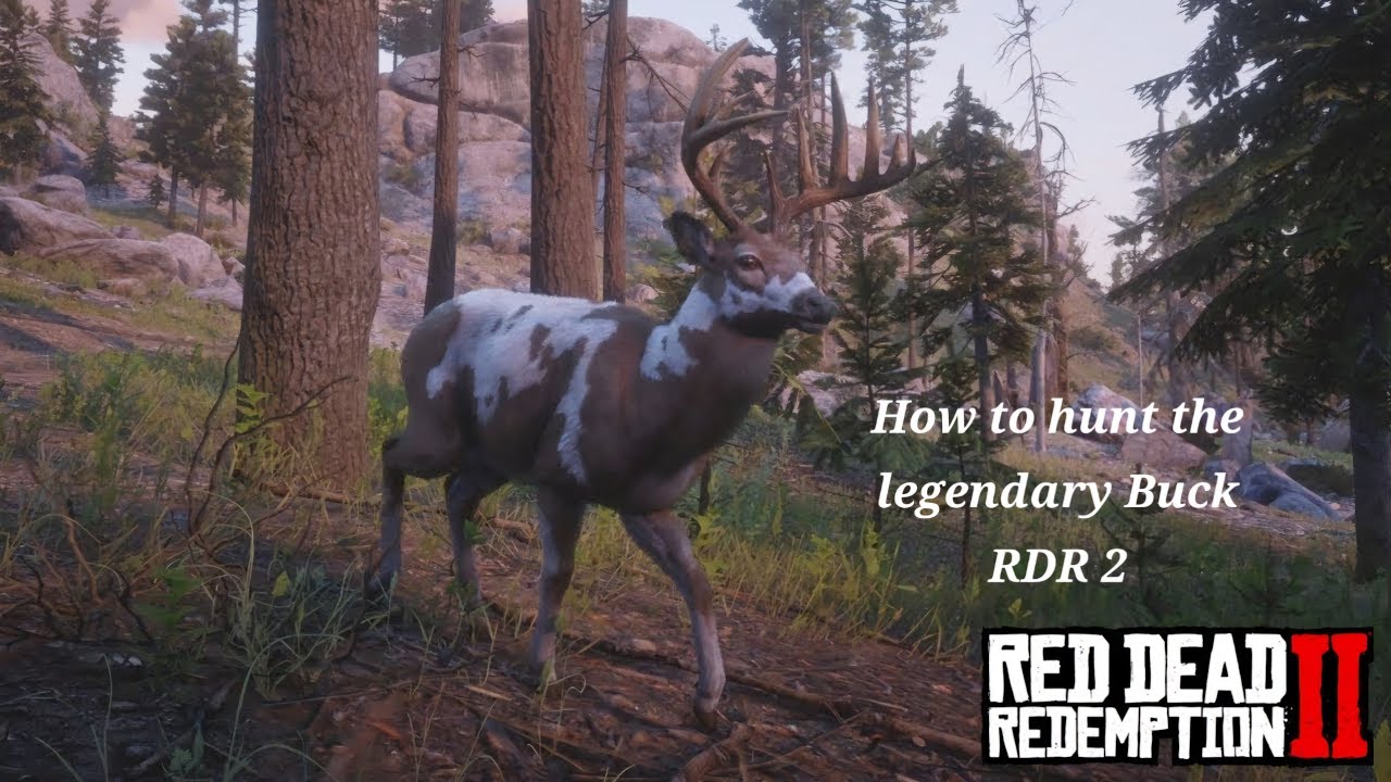 Rdr 2: How to hunt the legendary Buck - YouTube