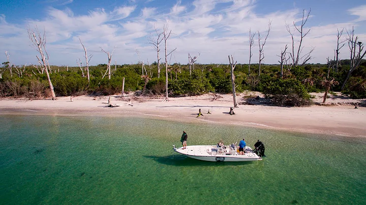 Reel Time Florida Sportsman - Southwest FL Snook, ...