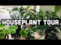 HOUSEPLANT TOUR MAY 2020 | MY 100+ PLANT COLLECTION