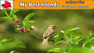 My best friends// Natural friends// World's best friend's Birds//Brilliant classes//what is the Love