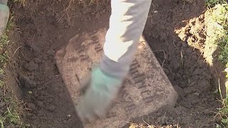 Volunteers at Concordia Cemetery use technology to unearth Buffalo history