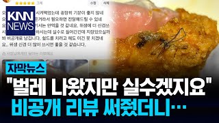 별점 5개·사장님만 볼 수 있는 리뷰 작성했는데…/ KNN