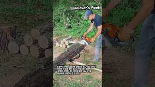 티버잭 사용법: 전기톱 작업 시 통나무 고정 노하우 #worker #process #chainsaw #safety #construction