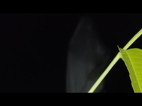 আপনাদের সাথেও হতে পারে, এমন কান্ড