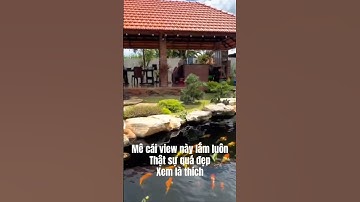 Mê cái view này lắm luôn thật sự quá đẹp chỉ biết ước có tiền sẽ mua ngay #shorts #villa #nhàvườn