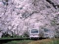 春遊 ～happy excursion～
