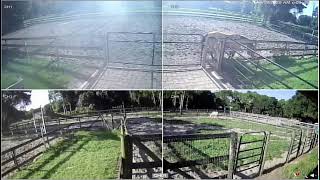 Ultimate Acres FarmCam 8/17/2026 PM