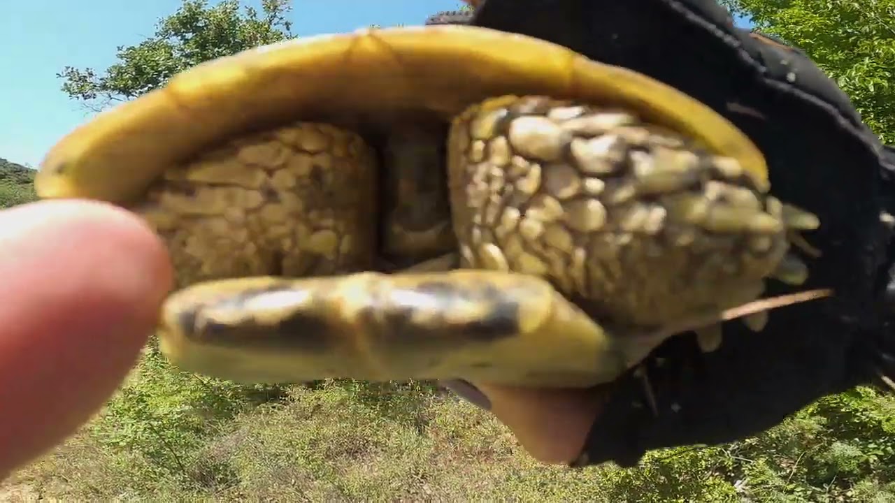 Надоело придумывать названия))