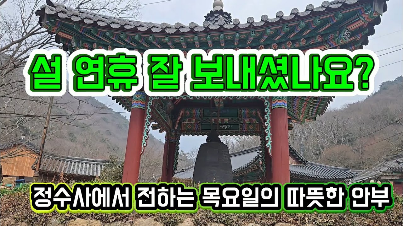 설 연휴 뒤 찾아온 평온함, 강진 정수사에서의 7분 치유 산책 (목요일의 인사)