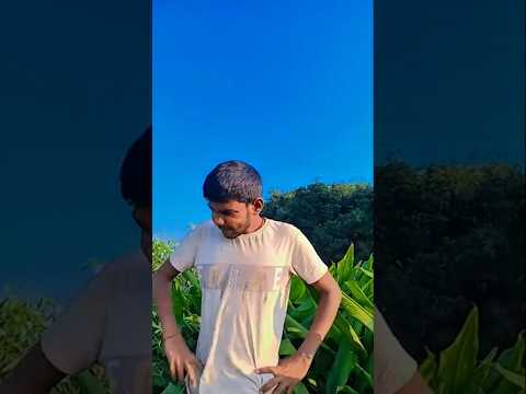 KYA DEKH RAHA HU Comedyshorts Funny Comedyvideos Viral Youtubeshorts Funnyvideos Comedyvideo 