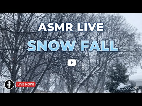 ASMR LIVE SNOW FALL #asmr #snow #therapy #calm