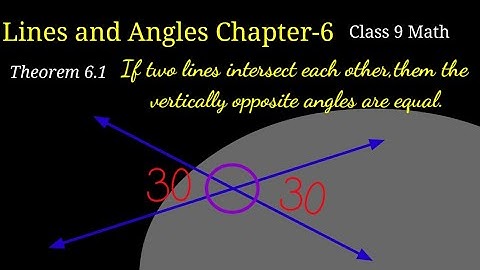 Class 9 math Chapter 6|Lines and Angle 13|Theorem 6.1 Vertical Opposite angle,in nepali|C9m6.Aser