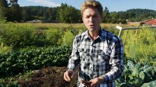 Growing with Biosolids