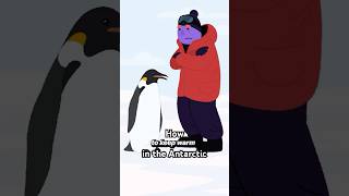 Why don't penguins' feet freeze? #biology #physiology #nature #evolution #birds #animation