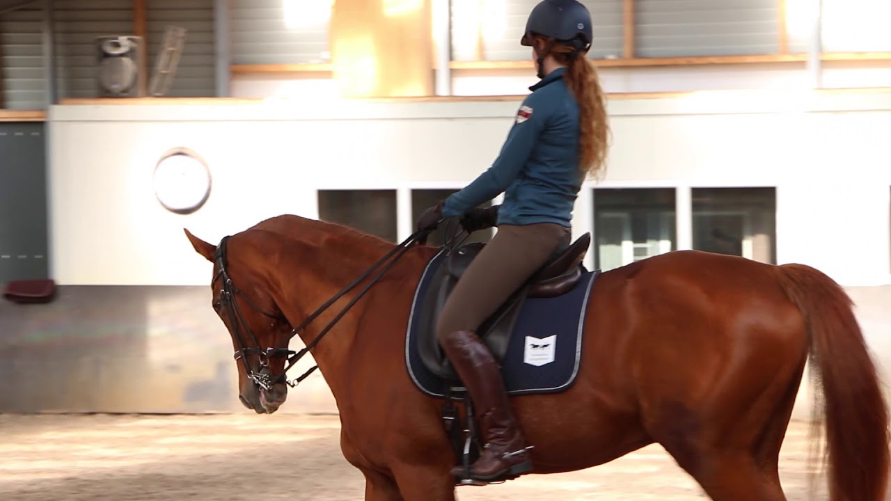 Emiel Voest: Schouderbinnenwaarts