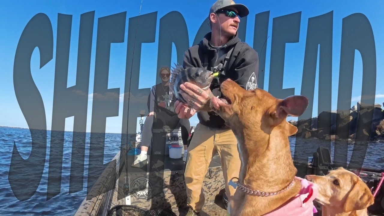 BIG SHEEPSHEAD! Fishing in  Mayport, Fl. 