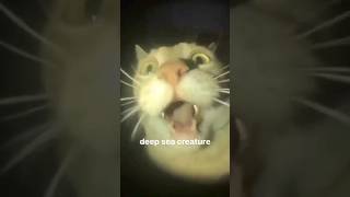 If you laugh, you restart pt 362 | #memes