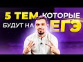 🟣 Эти 5 тем будут на ЕГЭ по обществознанию ...