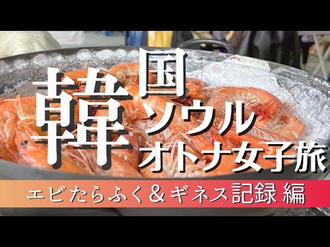 アラフィフ女子旅　秋の韓国でエビ🦐1年分食べる/ギネス記録のカフェ/月光レインボー噴水/盤浦大橋/漢江/地図あり