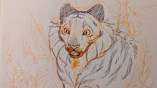 Headlock - sketchbook animatic - warriors ocs