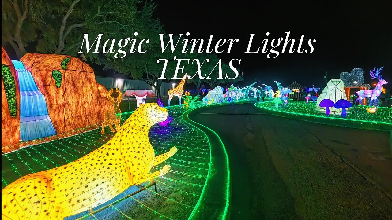 I Discovered the Most Magical Christmas Lights!