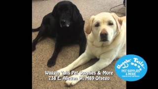 Waggin Tails Pet Supplies and More