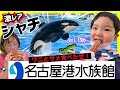 「名古屋港水族館」で珍料理を食べる！サメ・ワニ・イソギンチャク⭐️【ママさん似顔絵師Bon vol.180】シャチ/愛知テーマパーク/遊園地/自由研究