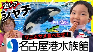 「名古屋港水族館」で珍料理を食べる！サメ・ワニ・イソギンチャク⭐️【ママさん似顔絵師Bon vol.180】シャチ/愛知テーマパーク/遊園地/自由研究