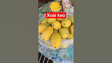 Xoài keo. Nhìn cái đĩa Xoài thấy thèm. #cothebanchuabiet #food ##xuhuong #shorts #friut #mango