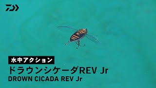 【ルアーアクション】ドラウンシケーダREV Jr