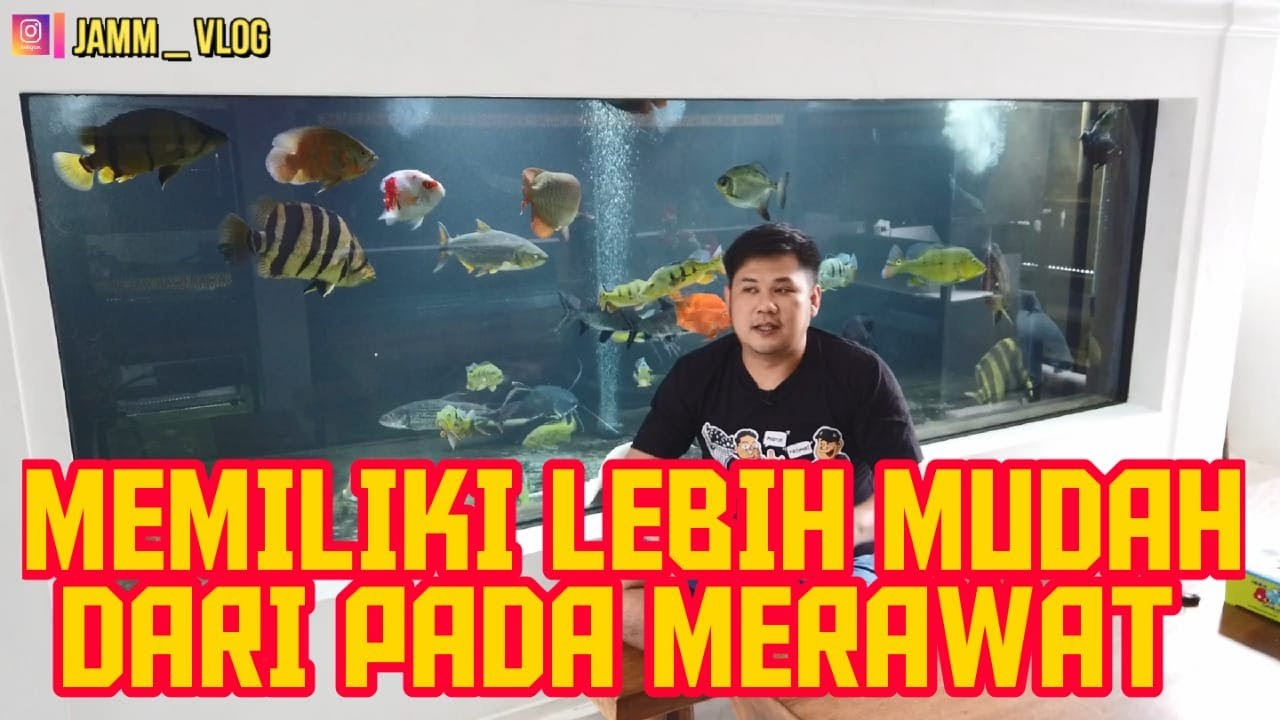 INFORMASI BAGI YANG PUNYA MEGATANK , GLASSPOND ATAU KOLAM KACA SEPERTI JAMM TANK