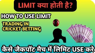 Cricket mai limit kya hoti hai ? Ek match mai kitna limit use kare ? Limit meaning in cricket bet screenshot 1