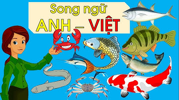 Học từ vựng tiếng anh tên các loại cá dưới nước điển hình bằng SONG NGỮ ANH VIỆT - Thanh nấm