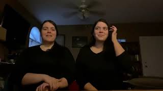 Dacia & Danya Siamese Cat song