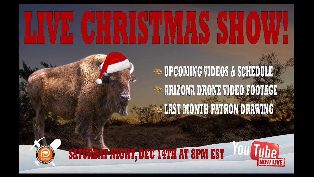 Wandering Buffalos Christmas Live Stream