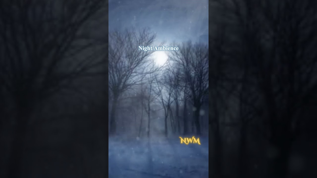 ENIGMA – Night Ambience  Deep Dark Winter Soundscape for Sleep