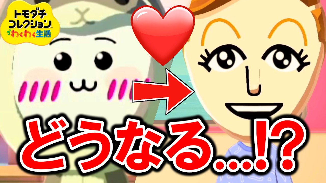 ちいかわ、ついに告白！？恋愛イベント連発の神回！！『トモダチコレクション わくわく生活』 #8