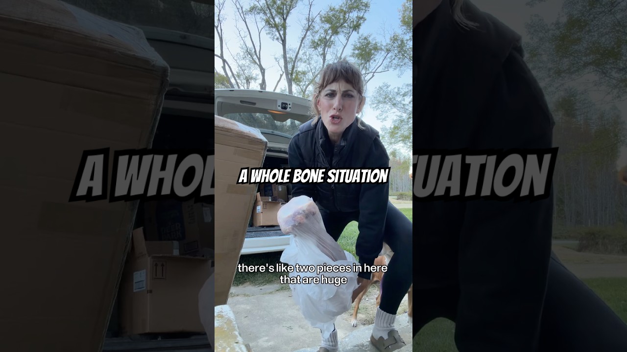 Я попросил суповые кости и получил ЭТО