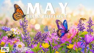 Summertime Splendor 4K | Fluttering Butterflies & Buzzing Bees 🌸 A Season Full of Bloom screenshot 3