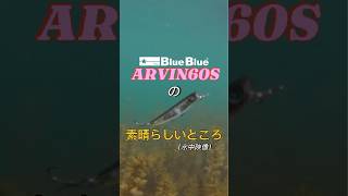 アービン60S ってこんな動きしてた？ #blueblue #fishing #ブルーブルー #シーバス