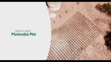 HOW TO 001 PFUMVUDZA PLOT