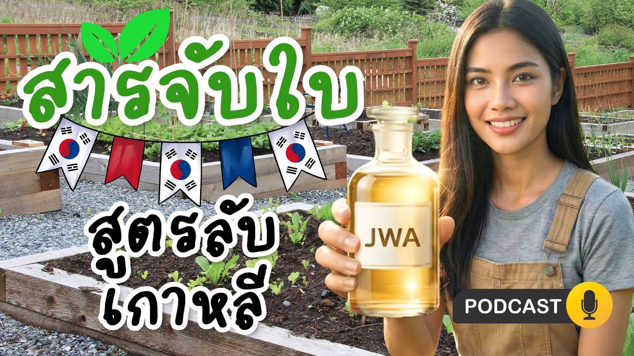 สารจับใบขั้นเทพ สูตรลับ JWA! 🌱 พืชงามขึ้นผิดหูผิดตา ต้นทุนหลักสิบ!"