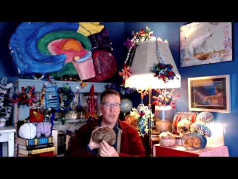 Declarative vs. Procedural Memory