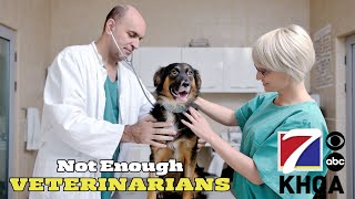 A Nationwide Shortage of Veterinarians and an Increase of People Owning Pets Is Causing Problems