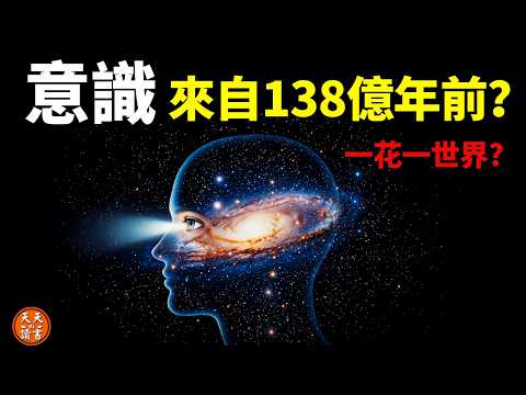 What Is Consciousness? What If You’re a Holographic Projection of the Universe? | David Bohm