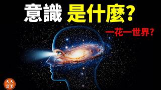 意識是什麼?物理學家:你可能是宇宙的「全息投影」,「一花一世界」是真的  | 《整體性與隱纏序》
