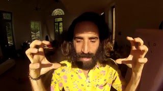 Gato Suave - El Juego del Espejo